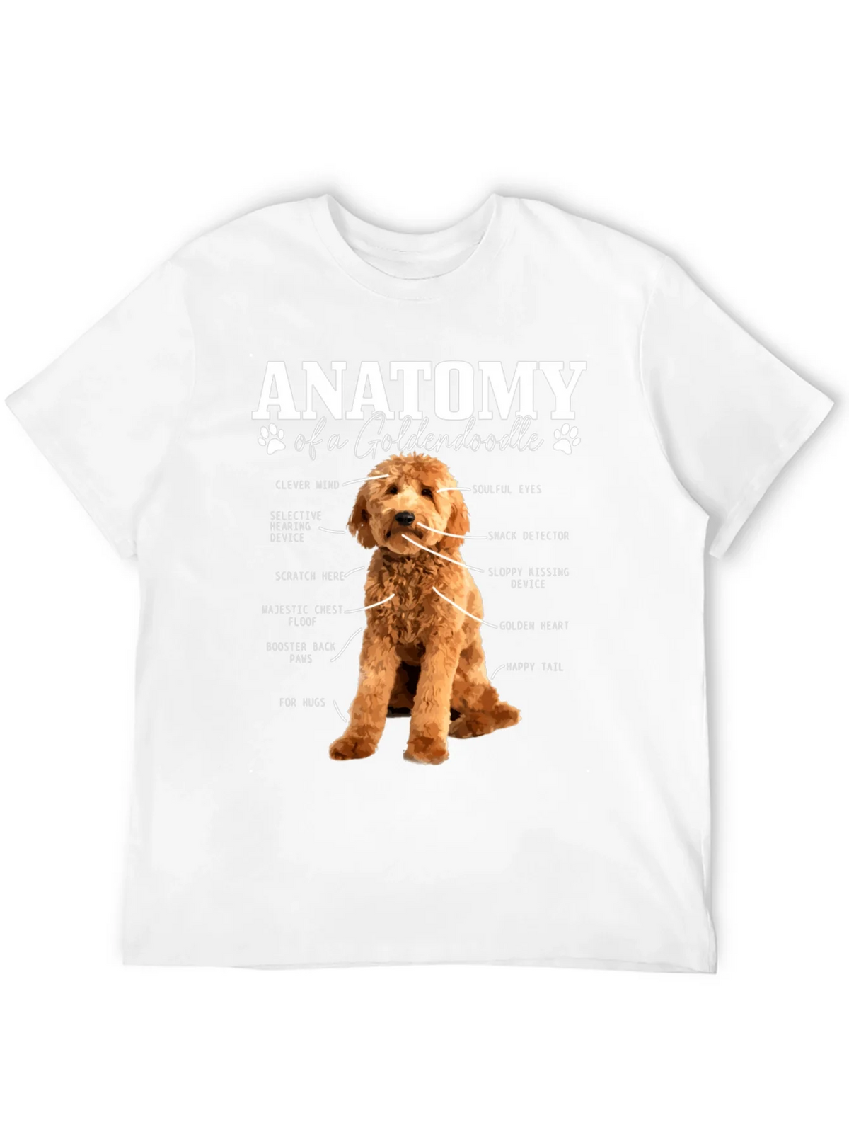 Goldendoodle Anatomy Graphic T-Shirt product image 3