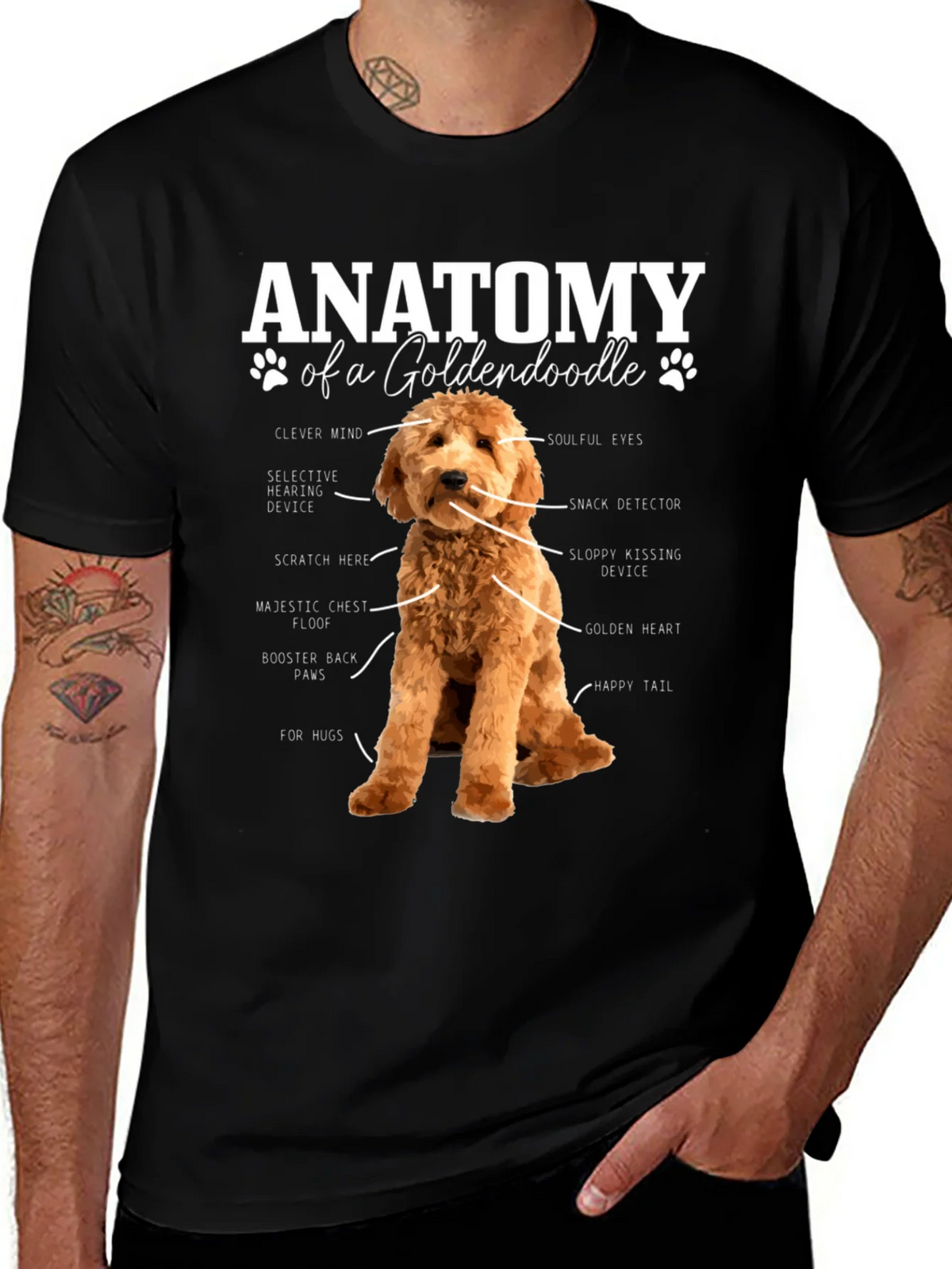 Goldendoodle Anatomy Graphic T-Shirt product image 1
