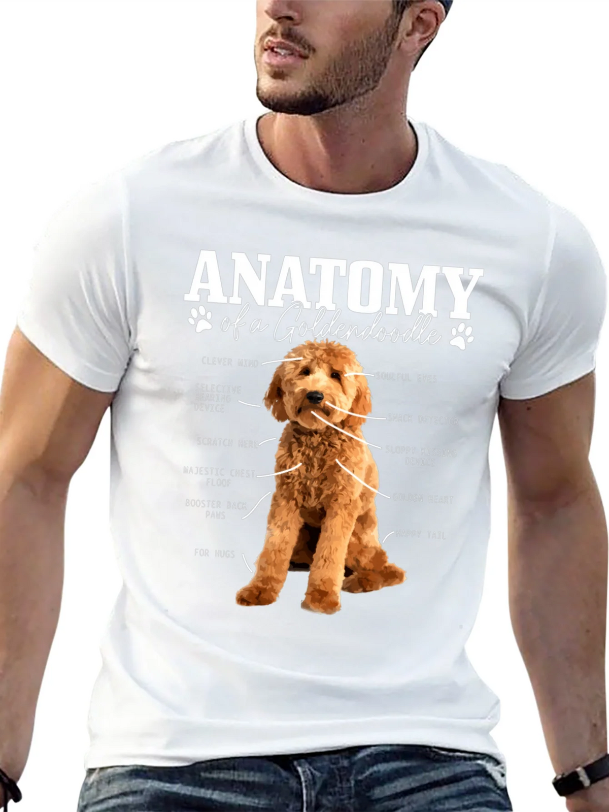 Goldendoodle Anatomy Graphic T-Shirt product image 4