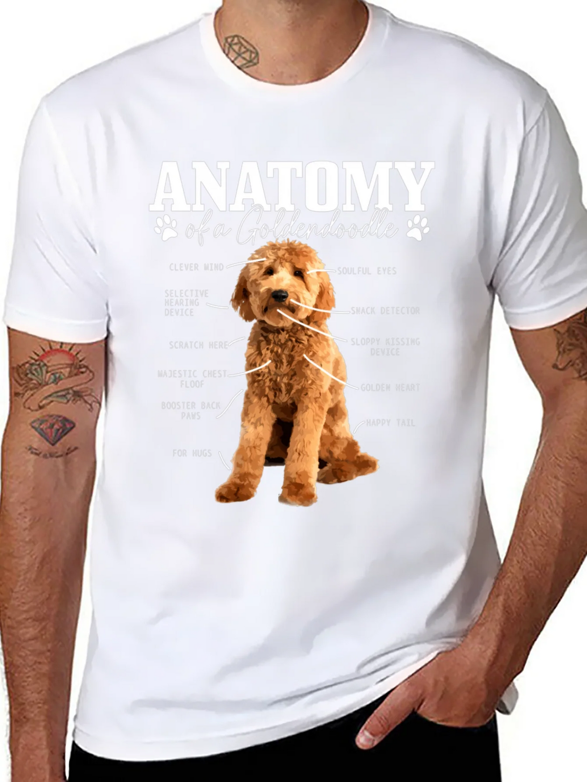 Goldendoodle Anatomy Graphic T-Shirt product image 10