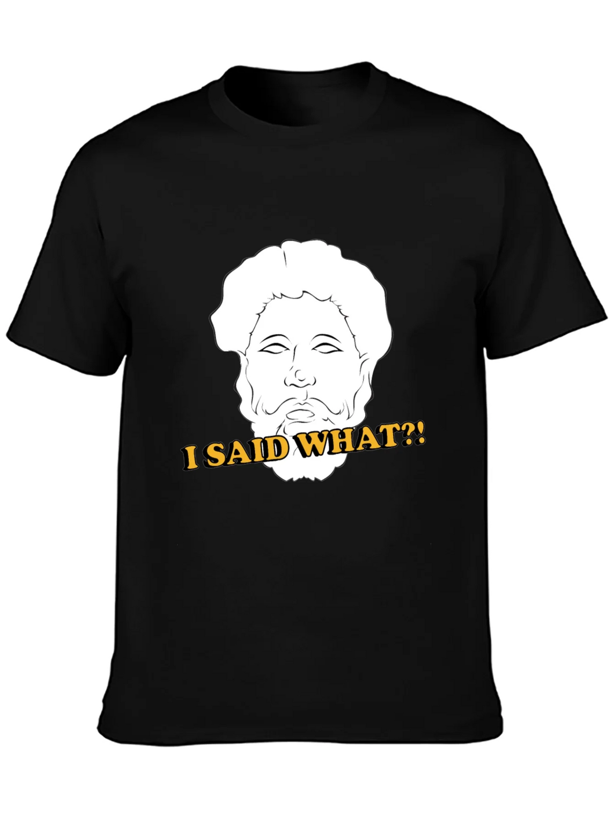 I Said What?! T-Shirt - Marcus Aurelius Graphic Tee product image 6