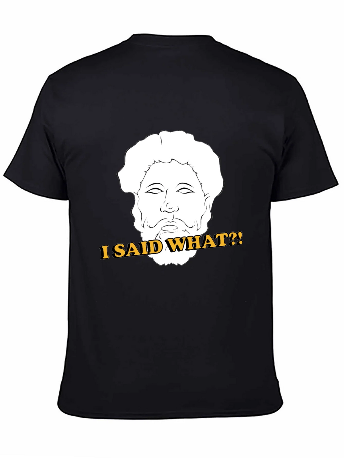 I Said What?! T-Shirt - Marcus Aurelius Graphic Tee product image 7